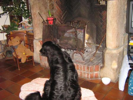 ben! j'attends!!!...