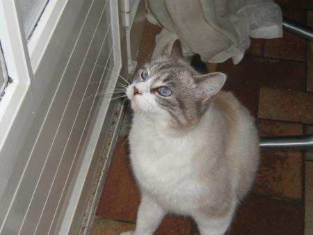 alors on me l'ouvre!...