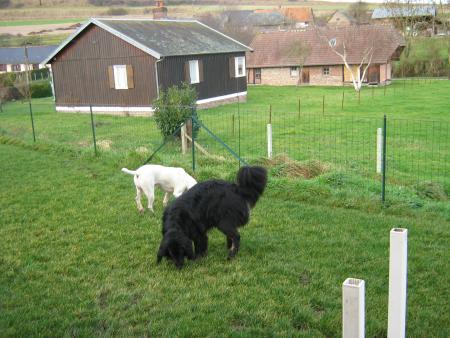 c'est beau la vie!....