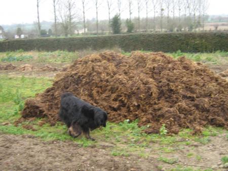 je reviens � contre coeur!!!!........