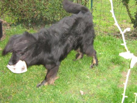 au-secour je vais m'envoler......