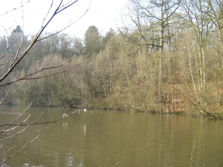 youppi!  j'ai fait envoler les cols verts.....