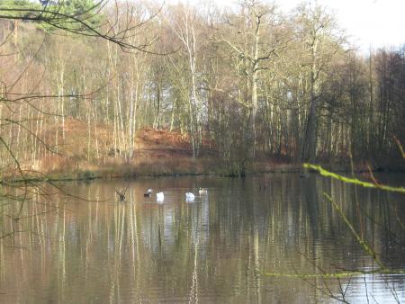 alors on dort! non non pas les uns sans les autres... non mais! et hop dans l'eau et ils se sauvent, hi! hi!