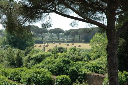 un bout bucolique de la Toscane....