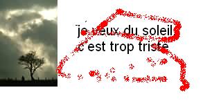 on va manifester , nous les toutous....