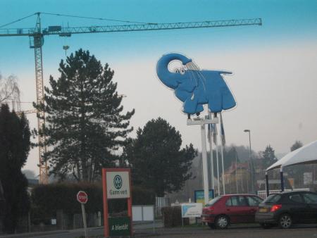 en nous raccompagnant Florian a eu une id�e...  le petit �l�phant pourrait laver les chiennes.... � �tudier...