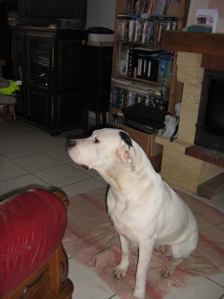 apr�s un s�chage je suis plus pr�sentable, mais alors quand on est rentr�es, s�cher dans le garage, hum! hum!