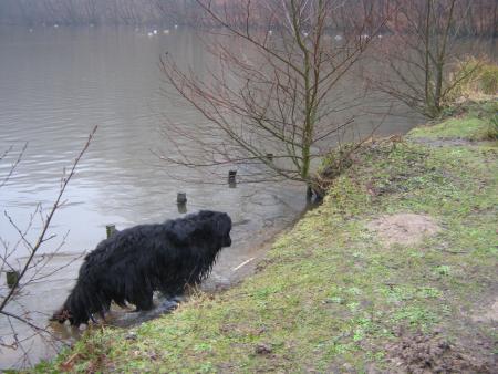 c'est quoi ce truc?.. un poisson?...