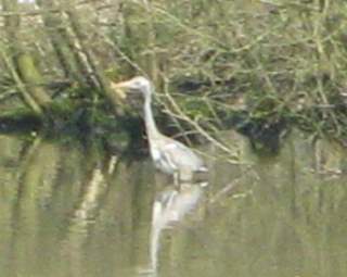 pris vraiment par hasard....