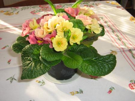 pour tous ceux et celles qui  viennent sur mon blog avec mes grosses l�chettes