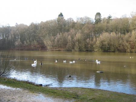 Mamiemyope aime le calme et la beaut� de ce lac, et moi j'aime l'eau...