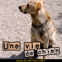 pauvre petit nous, cajol�, aim�, embrass�,papouill�, et, tous, nous devrions �tre ainsi... comme nous sommes heureux