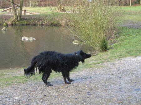 ah! quelle diff�rence quand on me voit mouill�e!  vous ne trouvez pas que je maigrie.. allez ! d�tes oui!!!!!