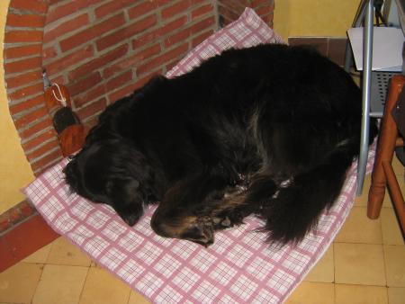 oh!...il est beau mon dodo.