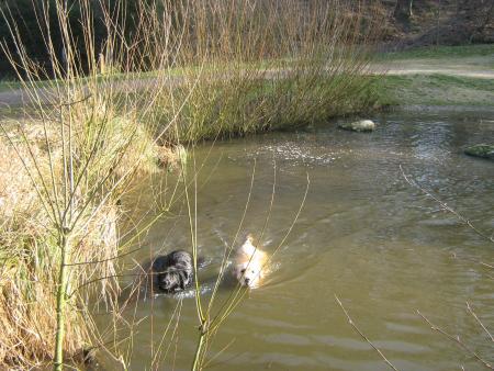 on les a retrouv�es!.....