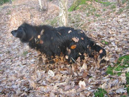 voil� c'est bon!....