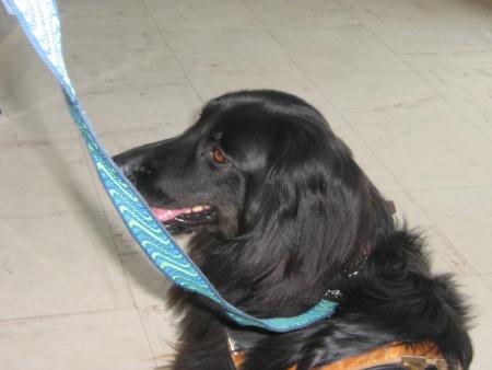 regardez je ris.....