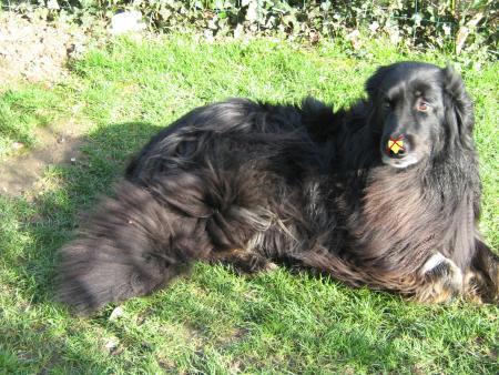 je me suis bless�e � ma truffe ....