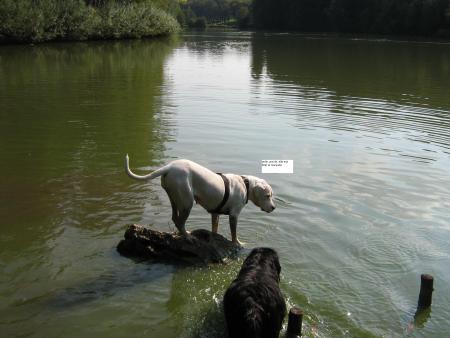 Voxane pour la 1� fois au lac elle avait peur, moi je me moquais d'elle... hi! hi!! pas gentille