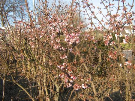 il g�le la nuit quel courage, -6 cette nuit quand m�me.