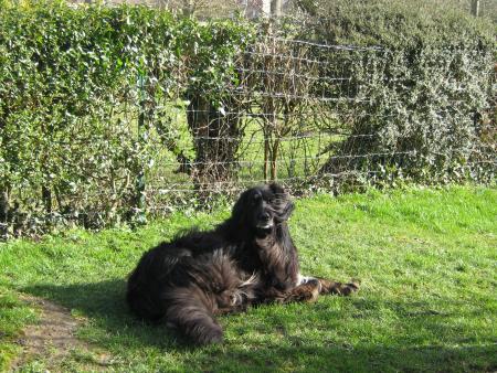 ah!! l�! l�! les poils dans le vent, le soleil, le repos, c'est bon pour ce que j'ai,