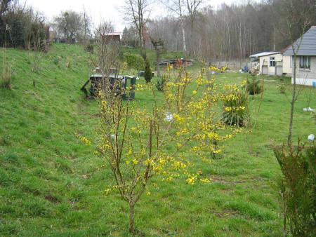 la nature reprnd vie,  du soleil en branche, il remplace le vrai...
