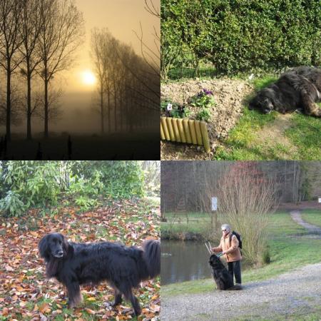 8h30 brume, 11h ouf du soleil, 14h dans le jardin, et la derni�re c'est en r�ve, nom d'un toutou poilu!!!..