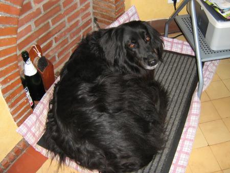 je veux faire dodo.. demain je vous raconterai ( chuuuut les b�tises de Mamiemyope aujourd'hui) �a changera