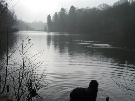 j'arrive il a peur il se sauve, quelle dr�le d'id�e, y d�j� pas grand chose, j'suis toute seule maintenant...