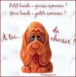 eh! eh! Mamiemyope a d�cid�e de faire un gros lundi... hum! hum!!... & ce soir ou fin de matin�e