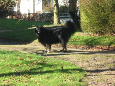 coucou � tous, il fait super beau.. Mamie est all�e au jardin et y retourne cet apr�s midi