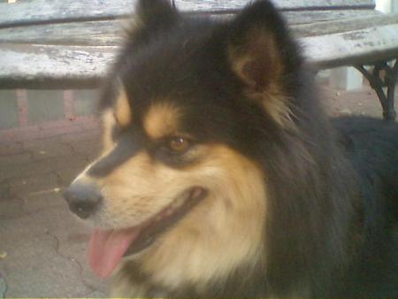 Mon AMOUREUX virtuel,  BALDWIIN!!