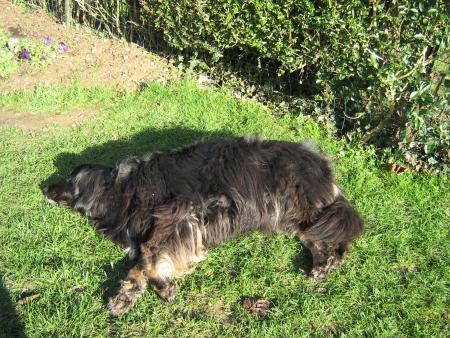 f�te toute le nuit, lire mon journal et maintenant dodo au soleil.