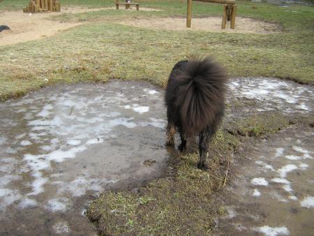 que tu as de beaux  yeux!!...ah! non Mamie, je sais que tu vois pas bien, mais quand m�me!...