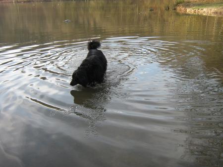 �a l'a prise, nous partons pour le bord de mer, 2 jours � lundi pour les photos.  bisous et l�chettes