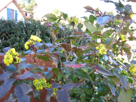 un peu de printemps dans votre vie