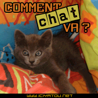 moi �a va on se pr�pare pour aller au lac, d�p�ches toi Mamie...