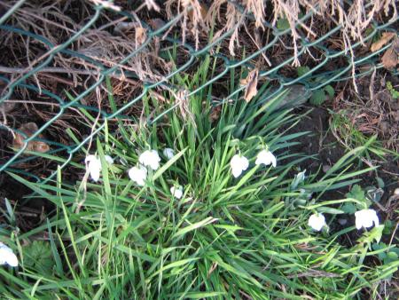 chic !! le printemps arrive..