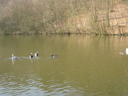 ceux la aussi sont pas mal !..