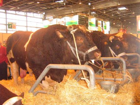 et moi j'suis pas beau!!!...