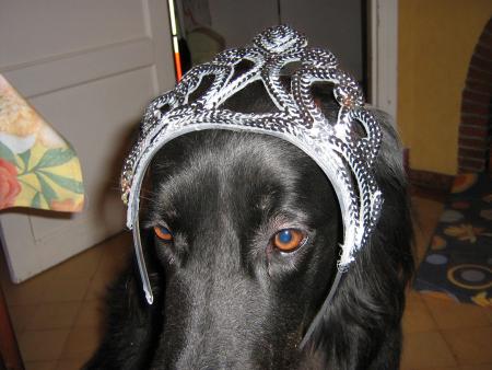 reine des attachiantes!!!....