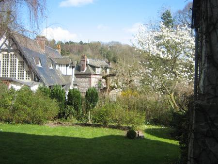 les arbres en fleurs!!!!!