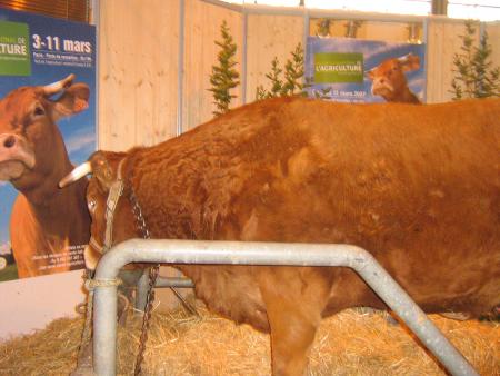 Titine, mascotte du salon en 2007.