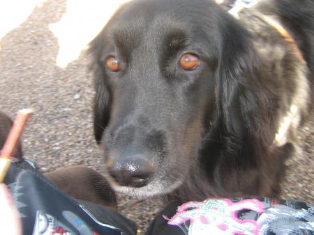 c'est quand qu'on rentre dit !...