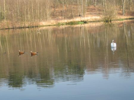 mes canards pr�f�r�s.