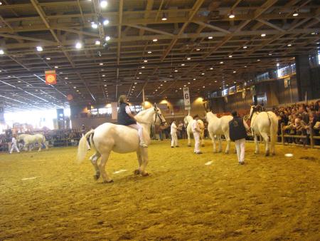 le pied on peut monter a cru ....