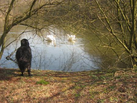 encore plus gros!!!.. hum!!. c'est tentant...