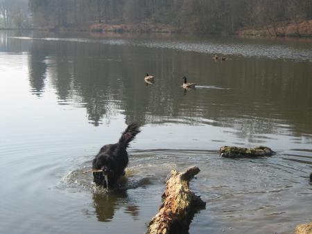 si bien que j'ai chang� de jeu!...