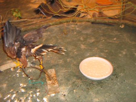 m�me qu'elle est encore dans le cadre.....