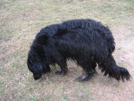 je suis tr�s propre, non!!!.